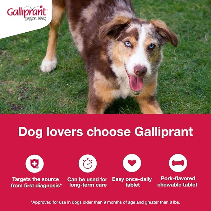 GALLIPRANT (GRAPIPRANT) TABLETS FOR DOGS, 100-MG, 90 TABLETS