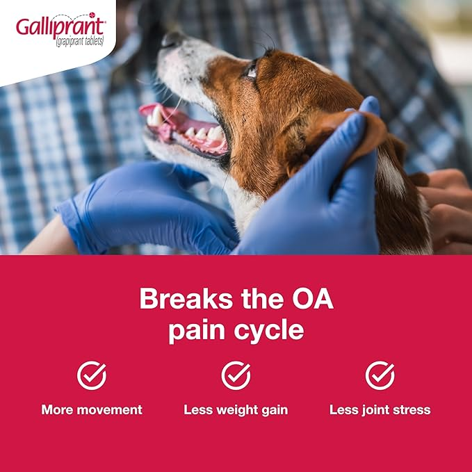 GALLIPRANT (GRAPIPRANT) TABLETS FOR DOGS, 100-MG, 90 TABLETS