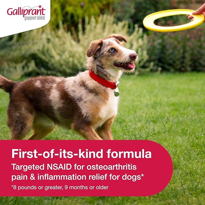GALLIPRANT (GRAPIPRANT) TABLETS FOR DOGS, 100-MG, 90 TABLETS