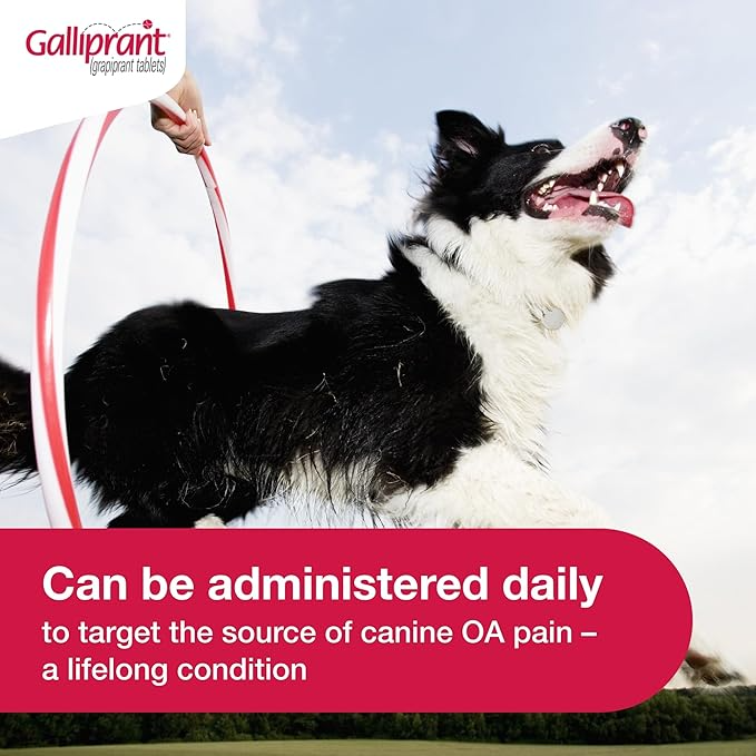 GALLIPRANT (GRAPIPRANT) TABLETS FOR DOGS, 100-MG, 90 TABLETS