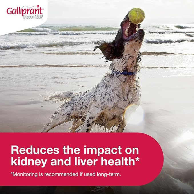 GALLIPRANT (GRAPIPRANT) TABLETS FOR DOGS, 100-MG, 90 TABLETS