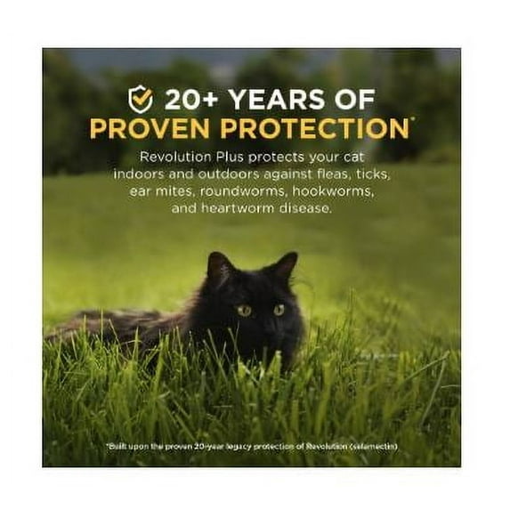 REVOLUTION PLUS TOPICAL SOLUTION FOR CATS, 2.8-5.5 LBS, (GOLD BOX), 12 DOSES (12-MOS. SUPPLY)