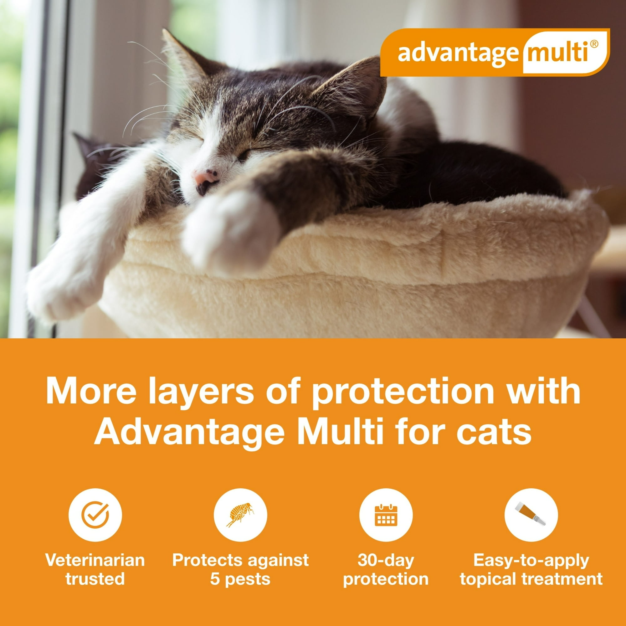 ADVANTAGE MULTI TOPICAL SOLUTION FOR CATS, 9.1-18 LBS, (PURPLE BOX), 12 DOSES (12-MOS. SUPPLY)