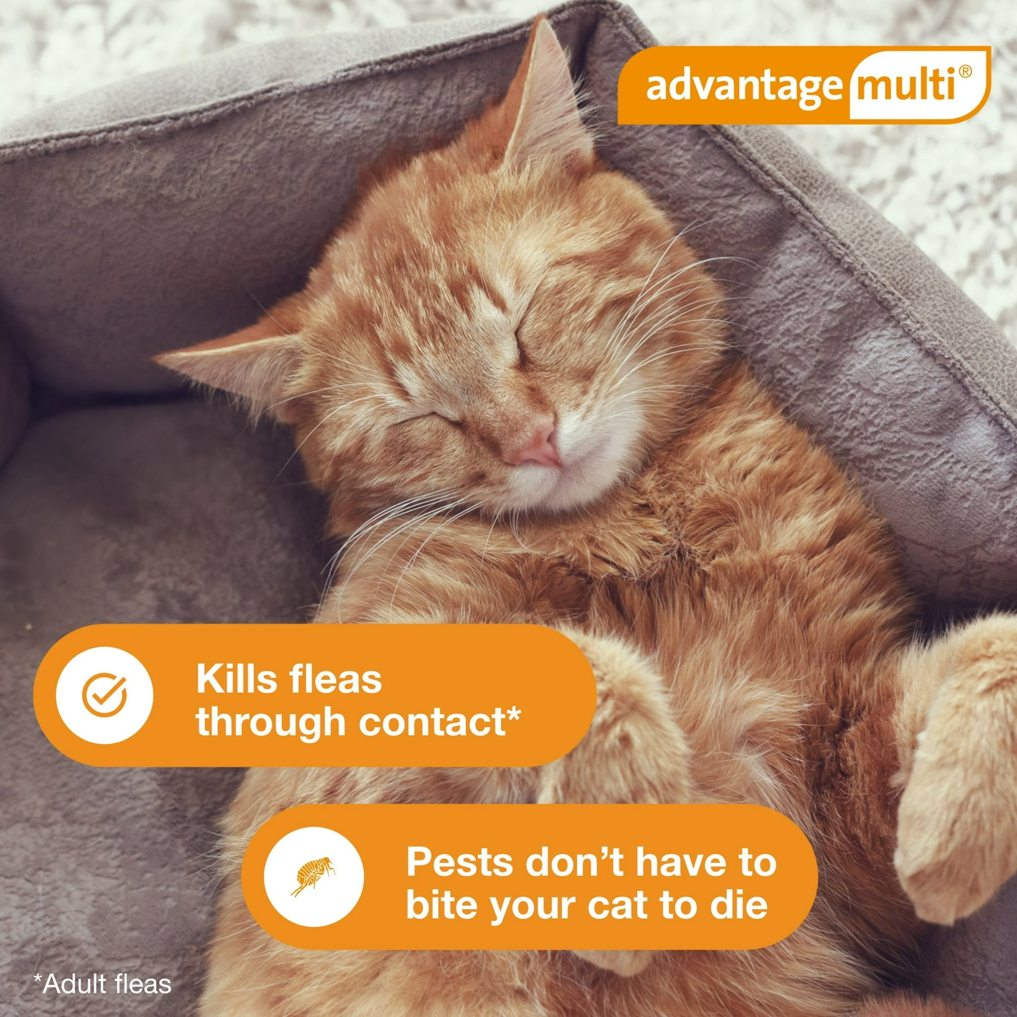 ADVANTAGE MULTI TOPICAL SOLUTION FOR CATS, 9.1-18 LBS, (PURPLE BOX), 12 DOSES (12-MOS. SUPPLY)