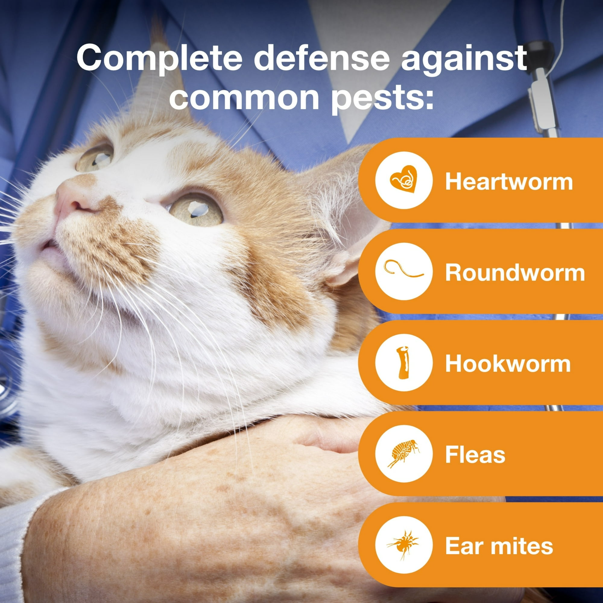 ADVANTAGE MULTI TOPICAL SOLUTION FOR CATS, 9.1-18 LBS, (PURPLE BOX), 12 DOSES (12-MOS. SUPPLY)