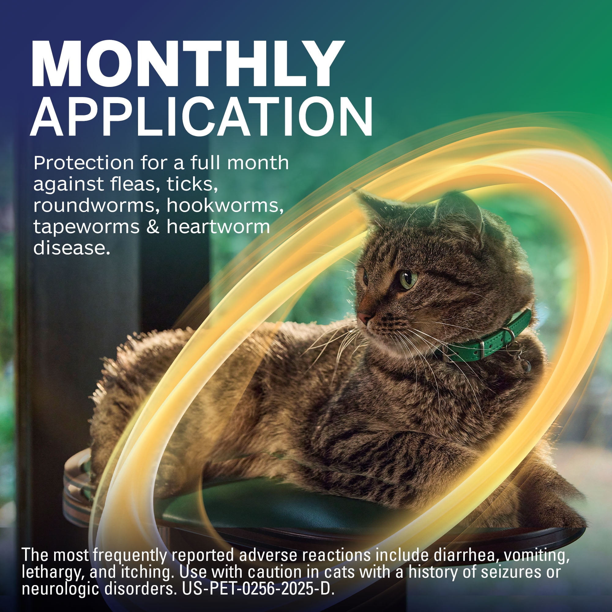 NEXGARD COMBO TOPICAL FOR CATS, 1.8-5.5LBS (PURPLE BOX), 6 DOSES (6-MOS. SUPPLY)