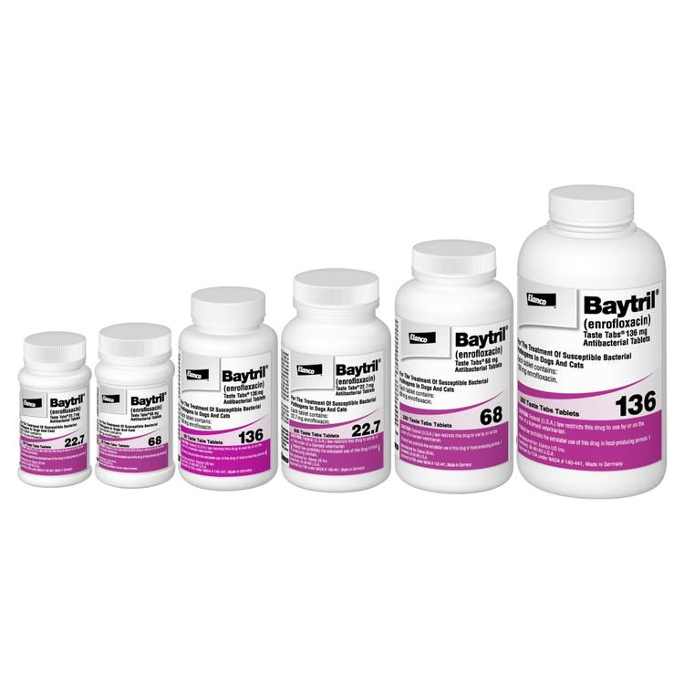 BAYTRIL (ENROFLOXACIN) TASTE TABS FOR DOGS & CATS, 136-MG, 30 FLAVORED TABLETS