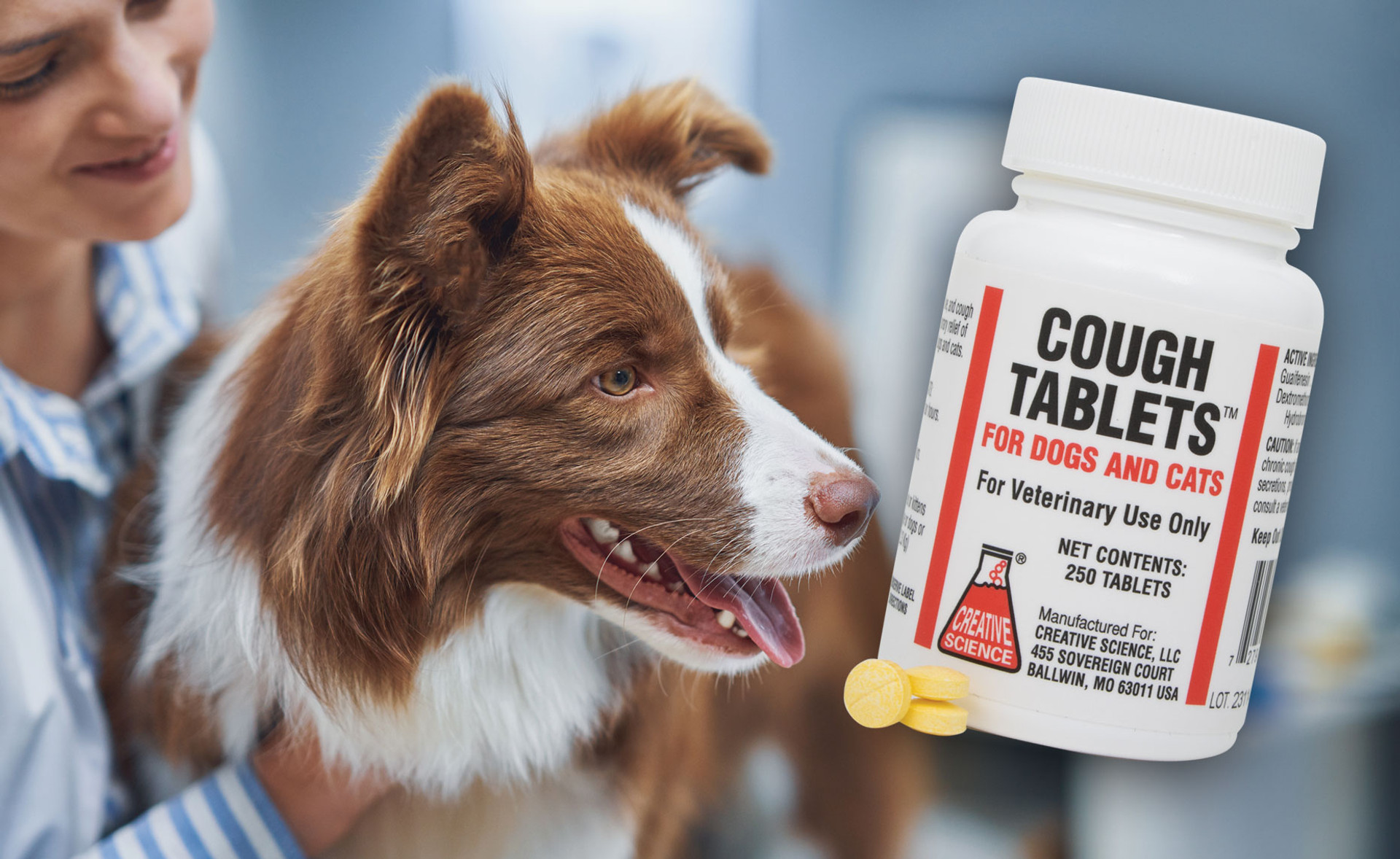 COUGH TABLETS FOR DOGS & CATS, 60 TABLETS