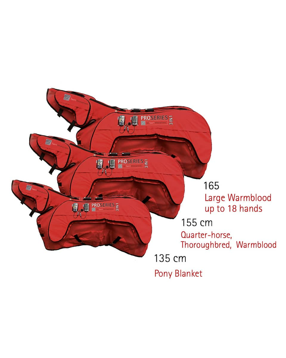 PROSERIES 3 IN 1 BLANKET