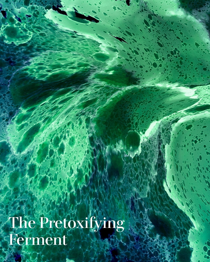 LA MER DEEP PURIFYING MASK