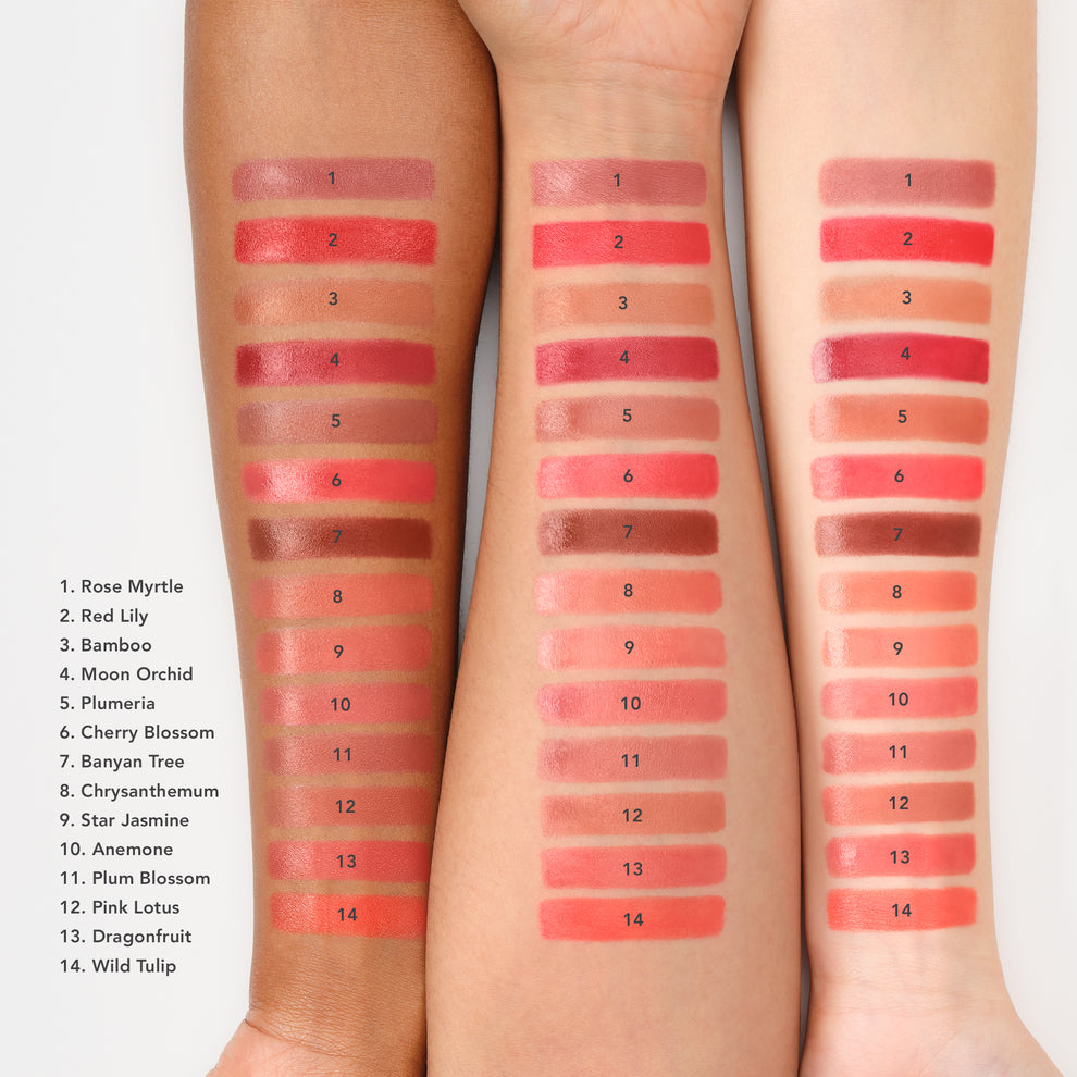 CHANTECAILLE LIP CRèME 3G/0.10 OZ.