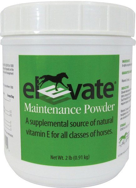 ELEVATE MAINTENANCE POWDER VITAMIN E HORSE SUPPLEMENT, 2-LB JAR