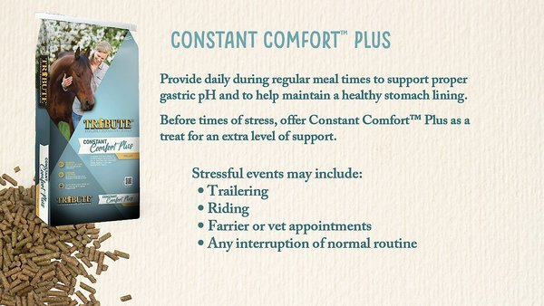 TRIBUTE EQUINE NUTRITION CONSTANT COMFORT PLUS GUT HEALTH HORSE SUPPLEMENT, 40-LBS BAG