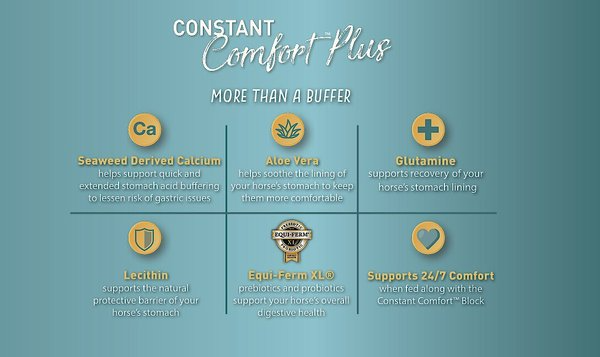 TRIBUTE EQUINE NUTRITION CONSTANT COMFORT PLUS GUT HEALTH HORSE SUPPLEMENT, 40-LBS BAG