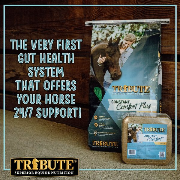 TRIBUTE EQUINE NUTRITION CONSTANT COMFORT PLUS GUT HEALTH HORSE SUPPLEMENT, 40-LBS BAG
