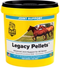 LEGACY PELLETS HORSE JOINT SUPPLEMENT, 10-LB BUCKET