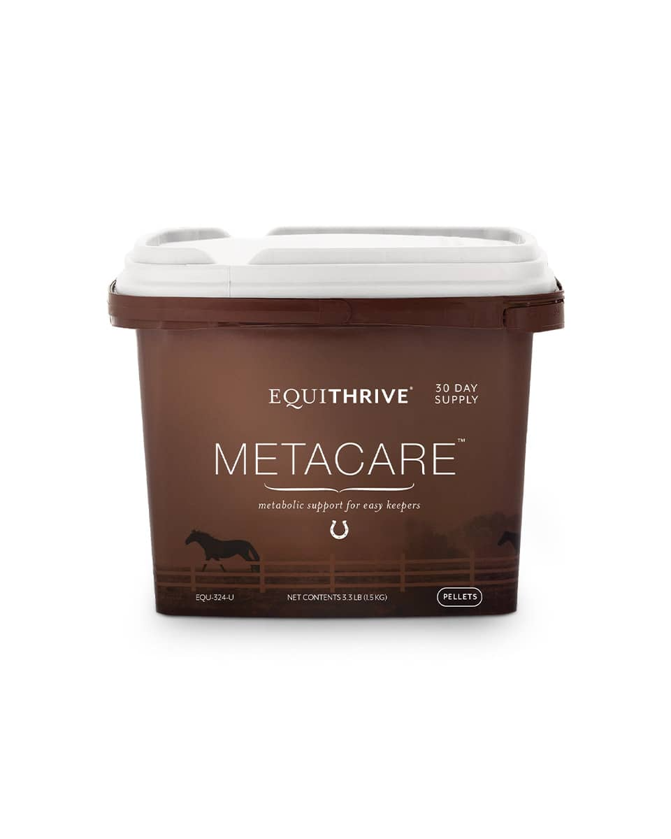 METACARE EQUITHRIVE