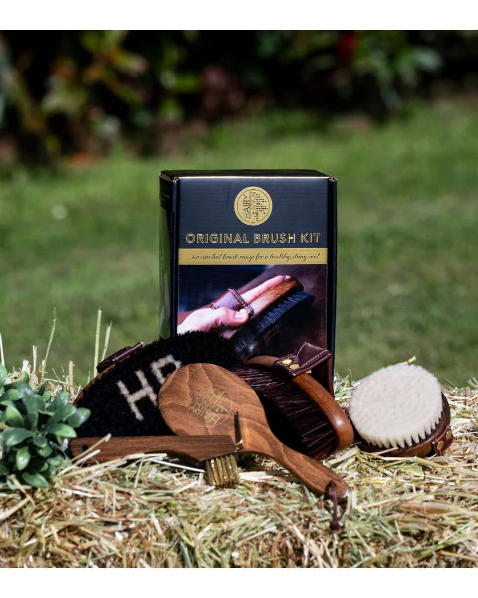 HAIRY PONY BRUSH KIT