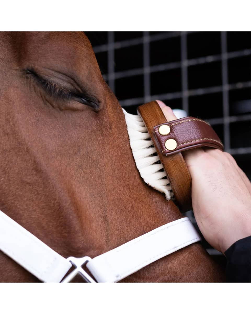 HAIRY PONY BRUSH KIT