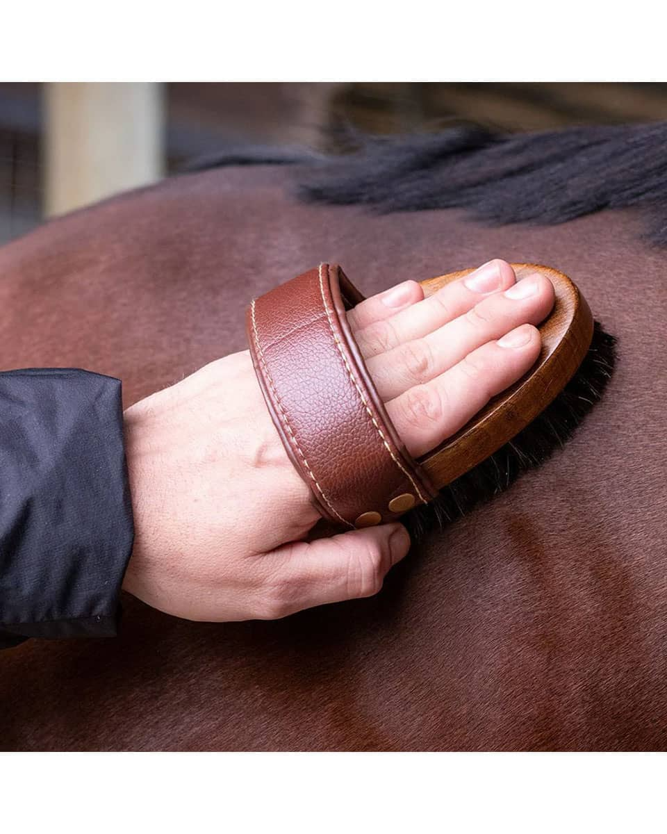 HAIRY PONY BRUSH KIT