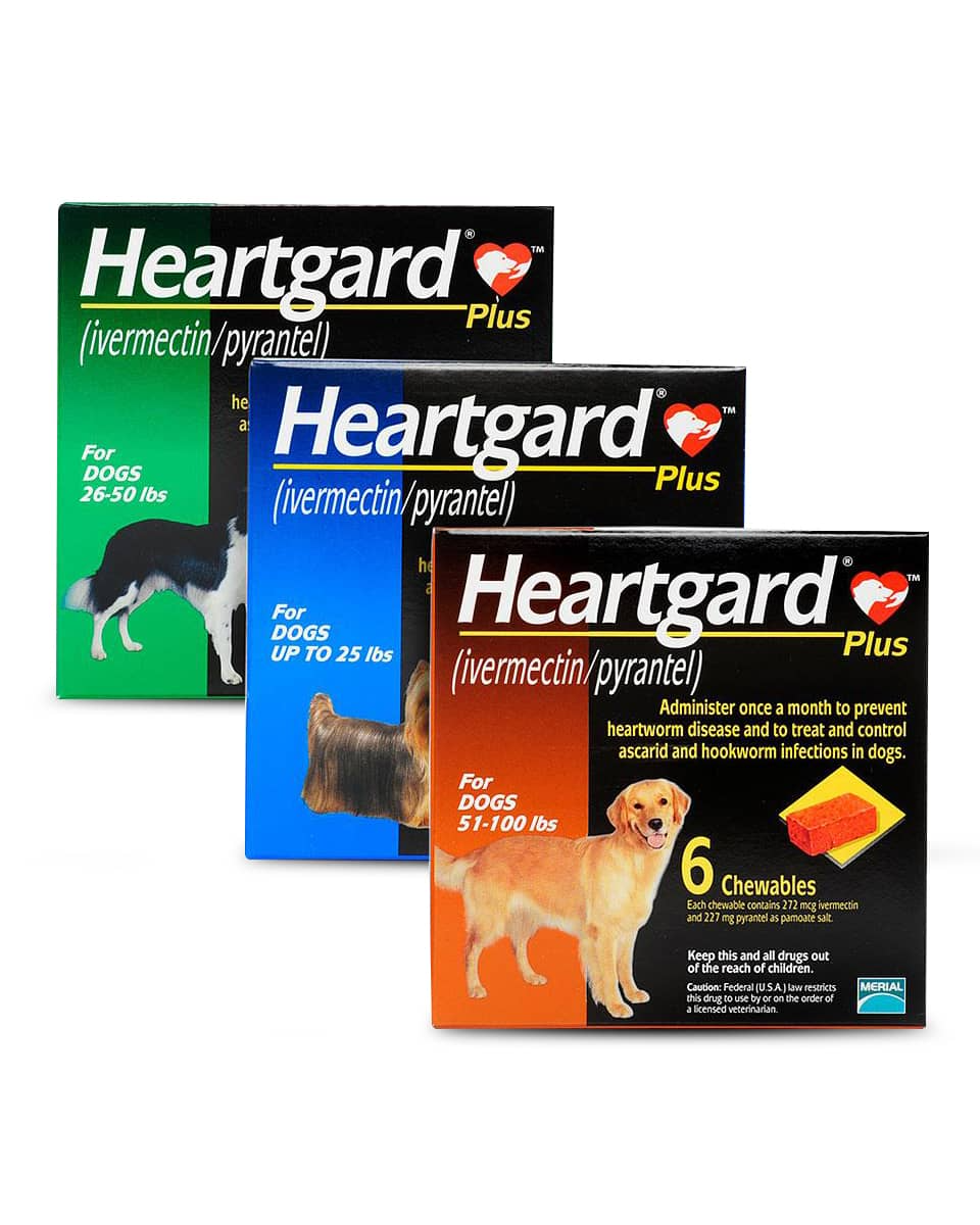 HEARTGARD PLUS 12 PK