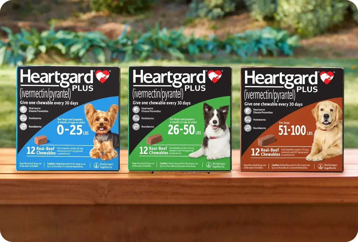 HEARTGARD PLUS 12 PK