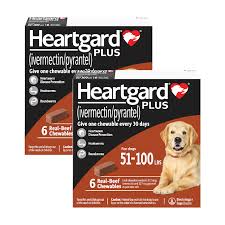 HEARTGARD PLUS 12 PK