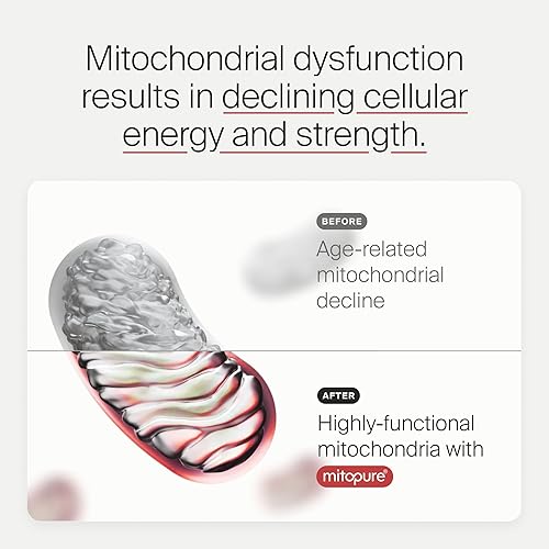 TIMELINE MITOPURE UROLITHIN A POWDER SUPPORTS HEALTHY AGING, MUSCLE, AND CELLULAR RENEWAL