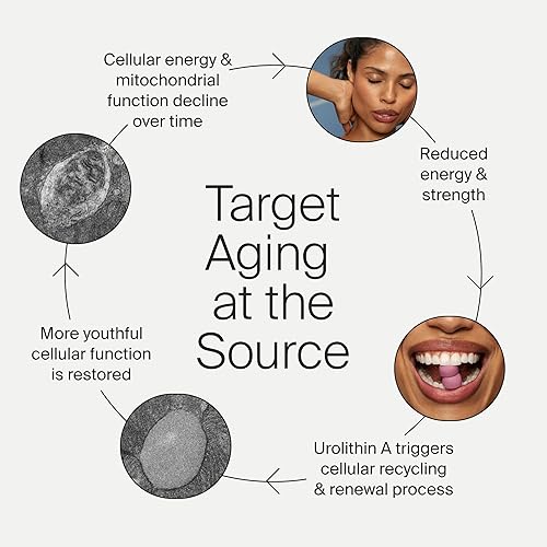 TIMELINE MITOPURE UROLITHIN A GUMMIES SUPPORT HEALTHY AGING, MUSCLE STRENGTH CELLULAR RENEWAL