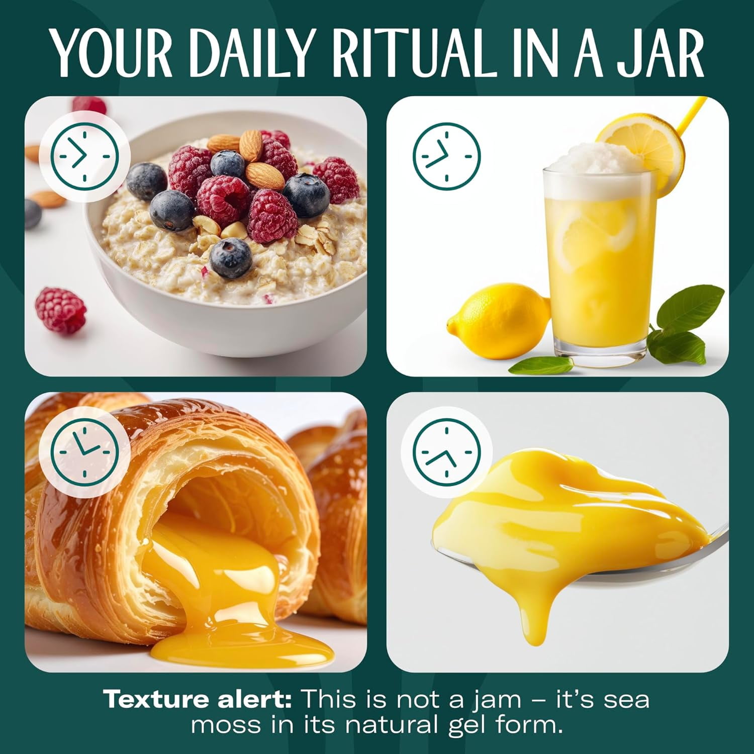 TRUESEAMOSS WILDCRAFTED IRISH SEA MOSS GEL LEMON PIE ORGANIC SUPERFOOD, MADE IN USA, 1 PACK