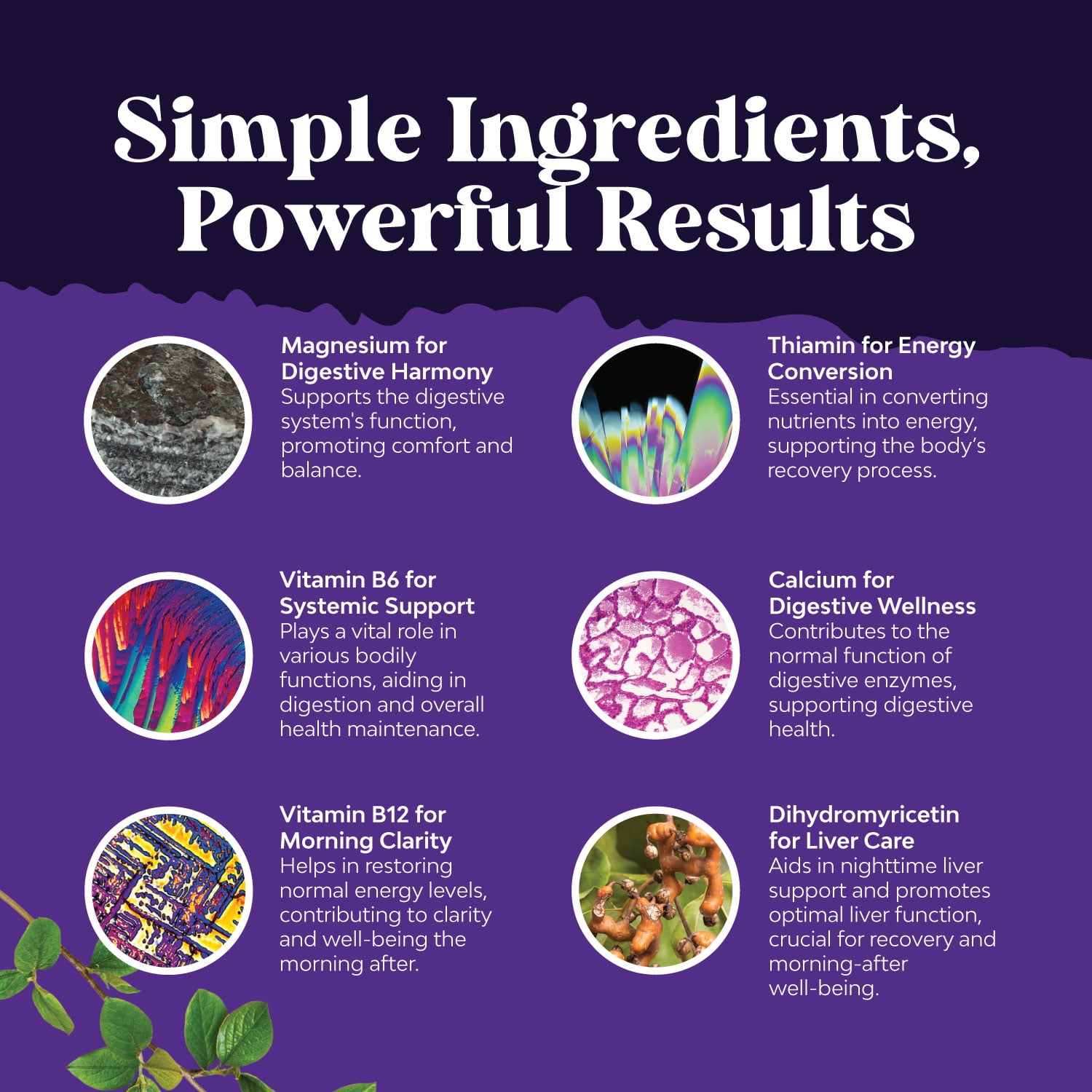 NATURES CRAFT NIGHTTIME LIVER DETOX HYDRATION PILLS WITH DHM, MILK THISTLE ELECTROLYTES FOR RECOVERY