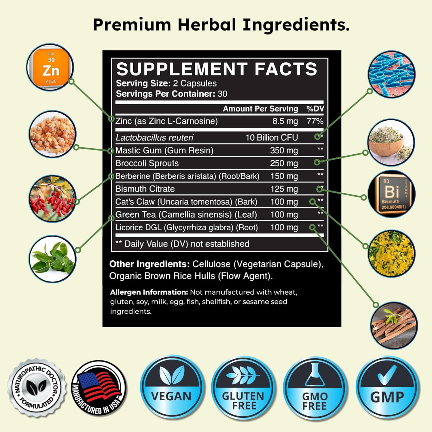 ZENMEN HERBAL GUT H. PYLORI SUPPORT WITH ZINC, 60 VEGAN CAPSULES, SUGAR-FREE, USA MADE