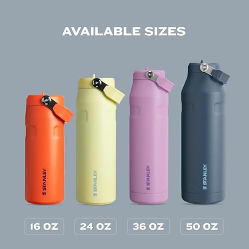 STANLEY ICEFLOW FLIP STRAW 24OZ INSULATED STAINLESS STEEL WATER BOTTLE, LEAK-PROOF, BPA-FREE