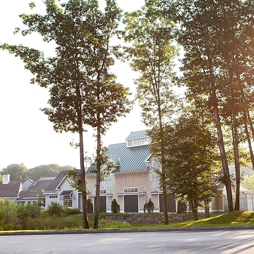 STONEWALL KITCHEN TRUFFLE MARINARA SAUCE 17.75 OZ GOURMET ITALIAN PASTA SAUCE WITH TRUFFLE FLAVOR