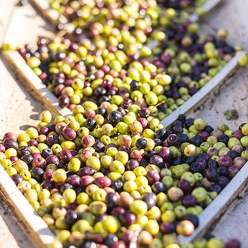 COLDANI OLIVE RANCH CALIVIRGIN WHITE TRUFFLE EXTRA VIRGIN OLIVE OIL 250ML COLD PRESSED, ORGANIC, NO PRESERVATIVES
