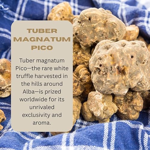 TRFL WHITE TRUFFLE RISOTTO KIT WITH CARNAROLI RICE ITALIAN SEASONING, 4 SERVINGS, 310G