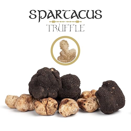 SPARTACUS CHOPPED WHITE TRUFFLE IN EXTRA VIRGIN OLIVE OIL GOURMET SEASONING 1.41 OZ