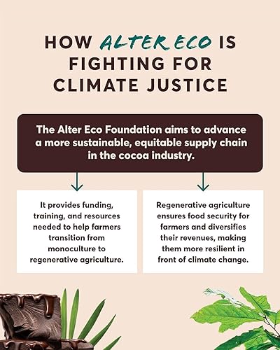 ALTER ECO SUPERDARK CHOCOLATE TRUFFLES ORGANIC, FAIR TRADE, NON-GMO, GLUTEN-FREE 10 COUNT