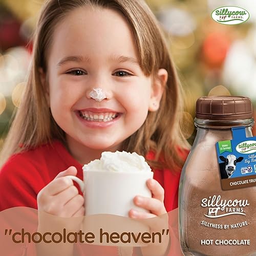 SILLYCOW FARMS HOT CHOCOLATE VARIETY PACK 3 GLUTEN-FREE, DAIRY-FREE FLAVORS IN REUSABLE GLASS