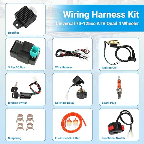 EOPOAYI ELECTRIC WIRING HARNESS KIT FOR TAOTAO COOLSTER 110CC 125CC ATV WITH IGNITION CDI PARTS
