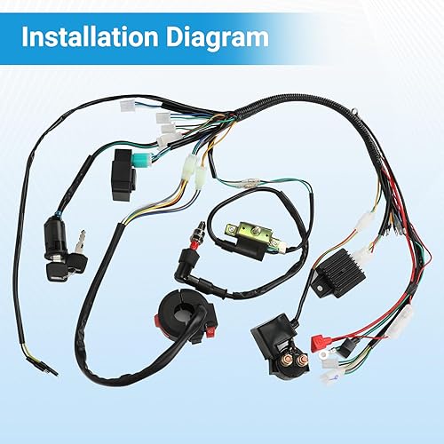 EOPOAYI ELECTRIC WIRING HARNESS KIT FOR TAOTAO COOLSTER 110CC 125CC ATV WITH IGNITION CDI PARTS