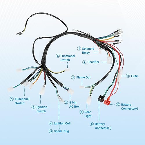 EOPOAYI ELECTRIC WIRING HARNESS KIT FOR TAOTAO COOLSTER 110CC 125CC ATV WITH IGNITION CDI PARTS