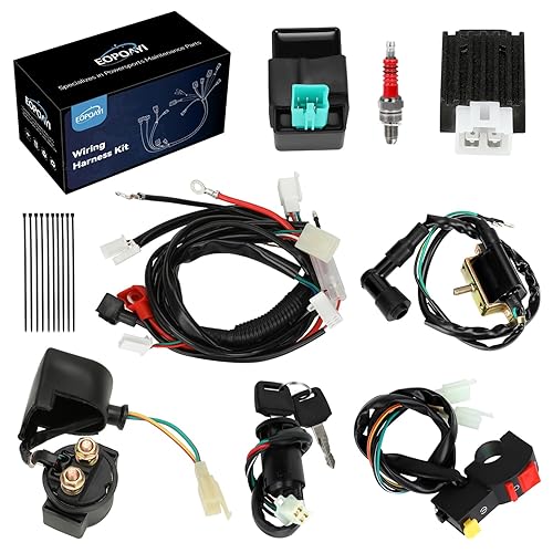 EOPOAYI PIT BIKE WIRING HARNESS ELECTRIC START FOR 50CC-125CC TAOTAO SSR X-PRO DIRT BIKES ATV PARTS