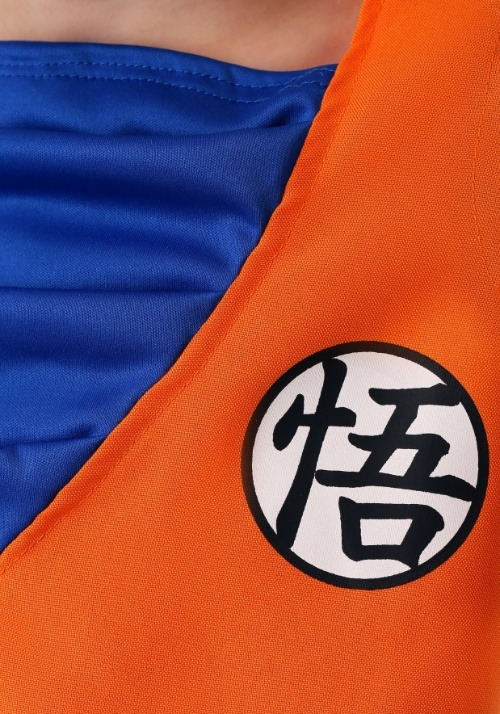 SPIRIT HALLOWEN COSTUMES BOY'S DRAGON BALL Z GOKU COSTUME