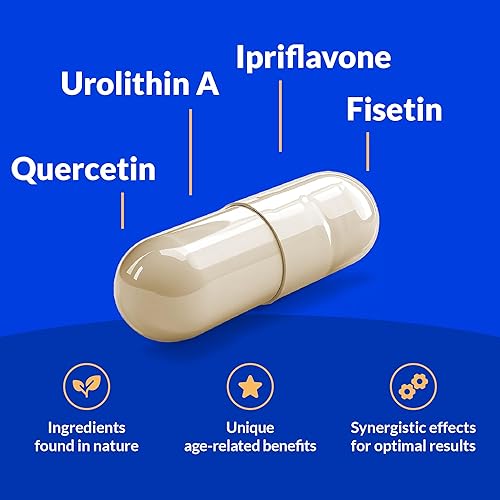 BRAIN HEALTH SUPPLEMENT 60 COUNT SUPPORTS MEMORY, RECALL PROTECTS AGAINST AGE-RELATED DECLINE