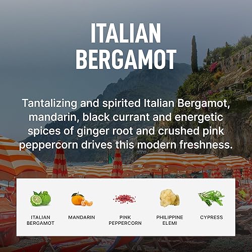 LAUNDRY SAUCE ITALIAN BERGAMOT BUNDLE SCENTED PODS, BOOSTER, SOFTENER DRYER SHEETS