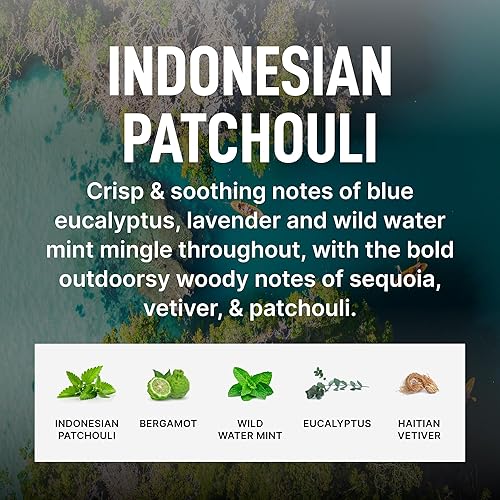 LAUNDRY SAUCE LUXURY FABRIC SOFTENER BUNDLE AUSTRALIAN SANDALWOOD INDONESIAN PATCHOULI SCENT
