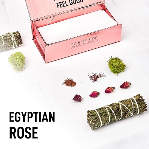 LAUNDRY SAUCE EGYPTIAN ROSE BUNDLE LUXURY DETERGENT PODS, SCENT BOOSTER DRYER SHEETS