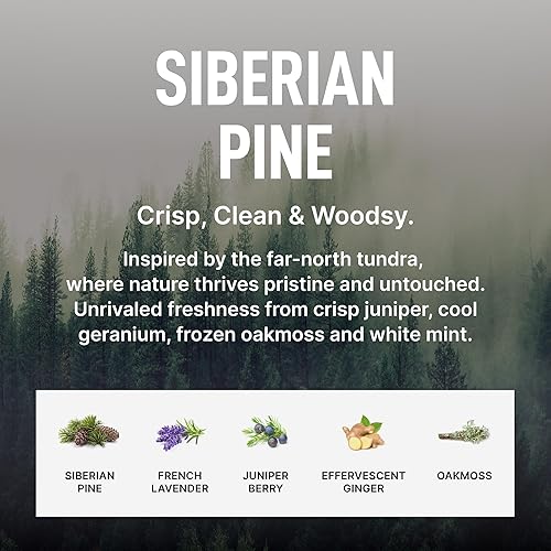 LAUNDRY SAUCE SIBERIAN PINE FABRIC REFRESHER SPRAY ODOR-FIGHTING LAUNDRY SCENT, 9.8 FL OZ