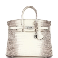 HERMèS BIRKIN 25 HIMALAYA NILOTICUS CROCODILE DIAMOND ENCRUSTED PALLADIUM HARDWARE